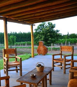 Cuyo Wine Adventure: Tasting & Vineyard Tour