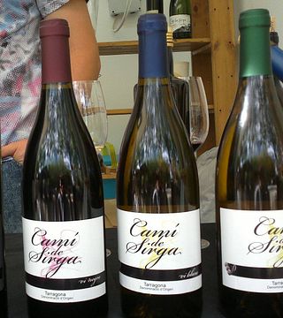 Degustazione di vini e tour popolari al Celler Pedrola