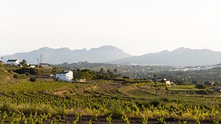 Montesanco Winery