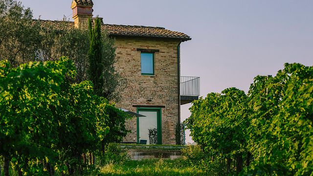 Stay at Panoramic Wine Resort | Tenuta Cocci Grifoni