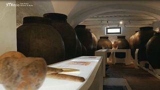 Cata de vinos Talha y visita a la Casa Museo Interativa de Borba