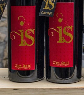 Valpolicella Tutto Intorno