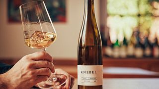 Cata de vinos en VDP Weingut Knebel
