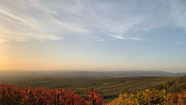 Degustazione di vini e visita alla Weingut Axel Schmitt