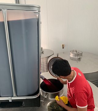 Wine Tasting and Tour at Bodega Nietos de Senora Maria