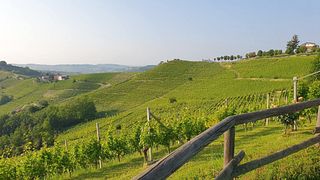 Cascina Delle Rocche Di Moncucco