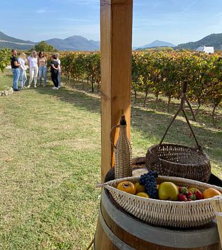 Weingarten – Mittagessen im Weinberg bei Winery Franić