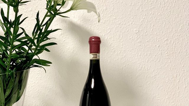 Cata de vinos y visita guiada a Tessere Cantina