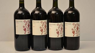 Azienda Agricola Montevetrano