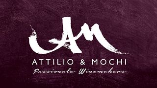 Dégustation de vin avec le propriétaire du domaine viticole