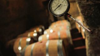 Degustação de vinhos e tour nas Bodegas Belote