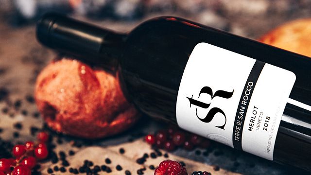 Visita y degustación en Terre Di San Rocco