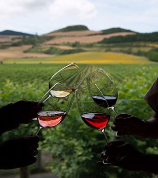Bodega Otazu