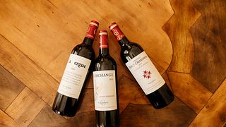Visita aos vinhedos de Châtonnet