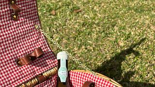 Picnic-Viñedos Lusus