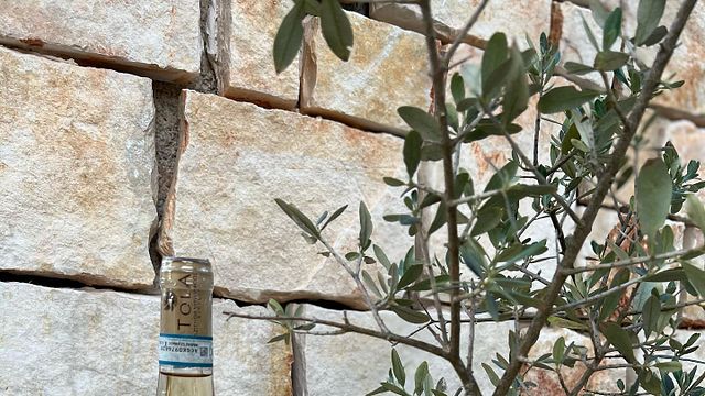 Azienda Vitivinicola Tola