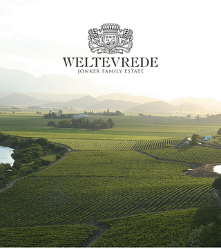 Cativado pela experiência Chardonnay na Weltevrede Wine Estate