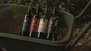 Experiência Clássica na WHT Huarpe Riglos Wines