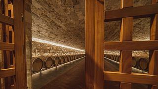 Wine Tour