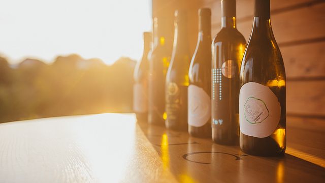 Dégustation de vins au domaine Hažić 
