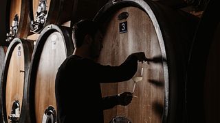 Hinter den Kulissen der Weine: Kellerführung & Verkostungserlebnis