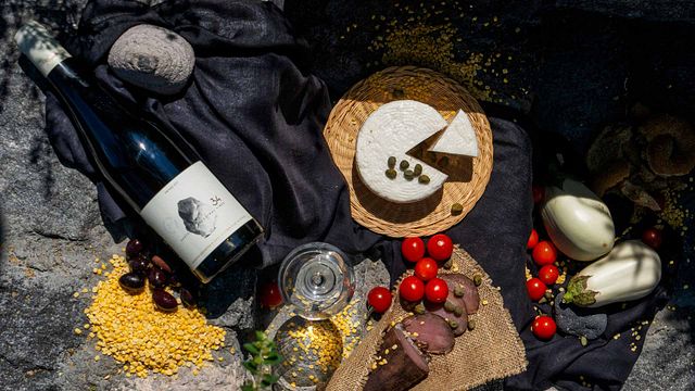 Dégustation de cinq vins à la cave Artemis Karamolegos