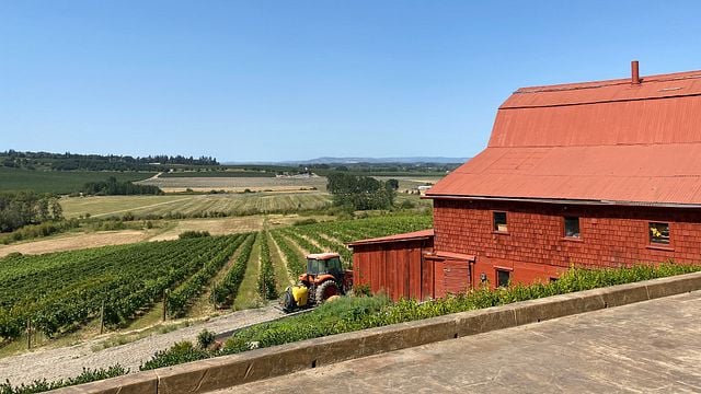 Cata de vinos y visita a la Bodega Pardis