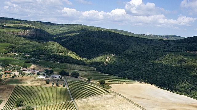 Degustação de vinhos e tour no Fattoi Ofelio E Figli