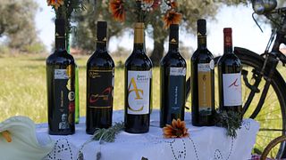 Weinprobe in der Fundação Abreu Callado