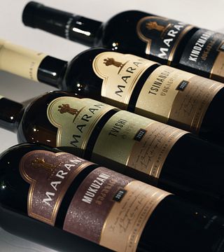 Telavi Wine Cellar | MARANI