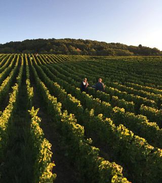 Degustazione di vini e tour allo Champagne Lecomte Père Et Fils
