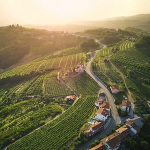 Villa di lusso ad uso esclusivo - Peterc Vineyard Estate