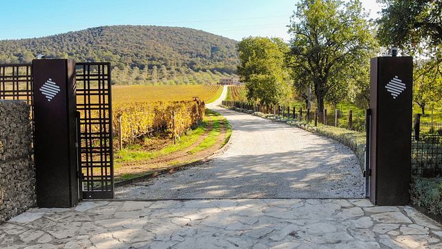 Visita de la Bodega con degustación de todos los Vinos acompañados de Platos