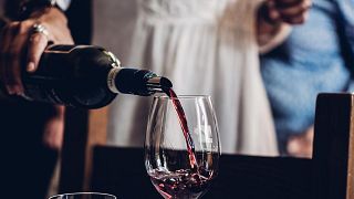 Cata y visita de vinos clásicos en Tenuta Valdipiatta