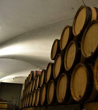 Cata y visita de vinos en el Domaine De Villaine