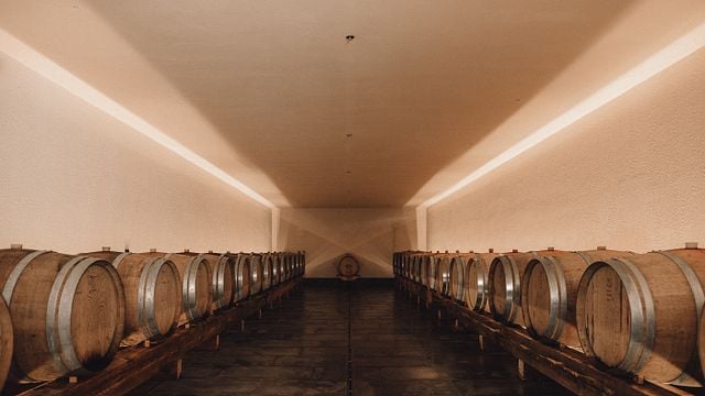 Führung und Weinprobe im Pitzner Winery & Suites
