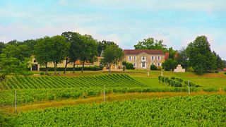 Degustazione di vini al Castello dell'Estang