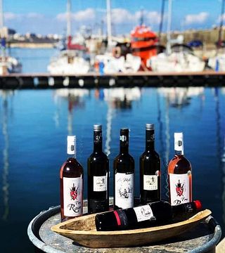 Cata de vinos y visita a la bodega Măcin