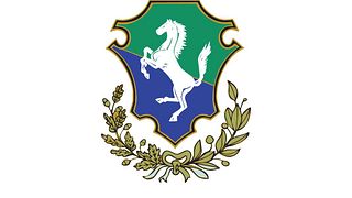 Dégustation de vins et visite à San Martino ColucciVini