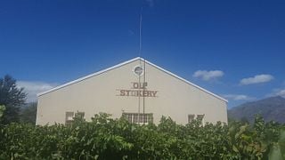 Breede River Valley Wine & Distillery Tour at Le Belle Rebelle