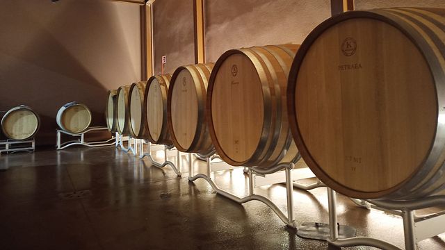 Explore a Tuscan Organic Farm with Wine Tasting