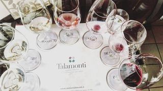 Degustazione di vini e tour alla Tenuta Talamonti