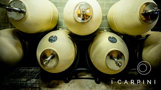 I Carpini Winery