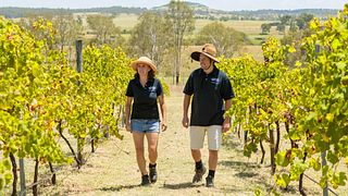 New Wine Experience School