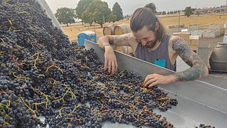 Eternal Wine