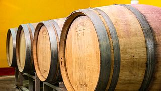 Weinprobe und Tour bei Aresca