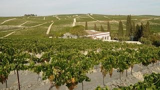 Visitez le vignoble et le « plus petit domaine viticole de Xérès au monde »  