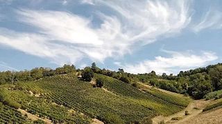 Vom Weinberg ins Glas | Corte Fabbri