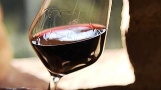 Wine Tasting and Tour at Usiglian del Vescovo