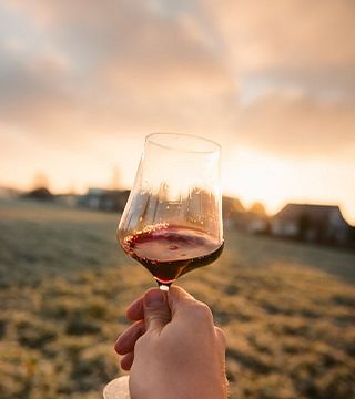 Degustazione di vini e visita alle Bodegas Monovar